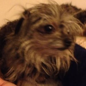 Meet your Posher, Donnie